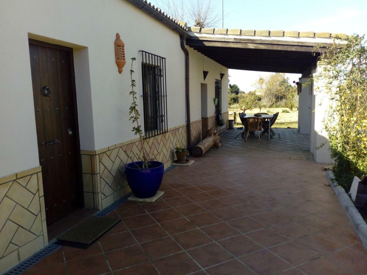 Casa Los Jinetes Кармона Экстерьер фото